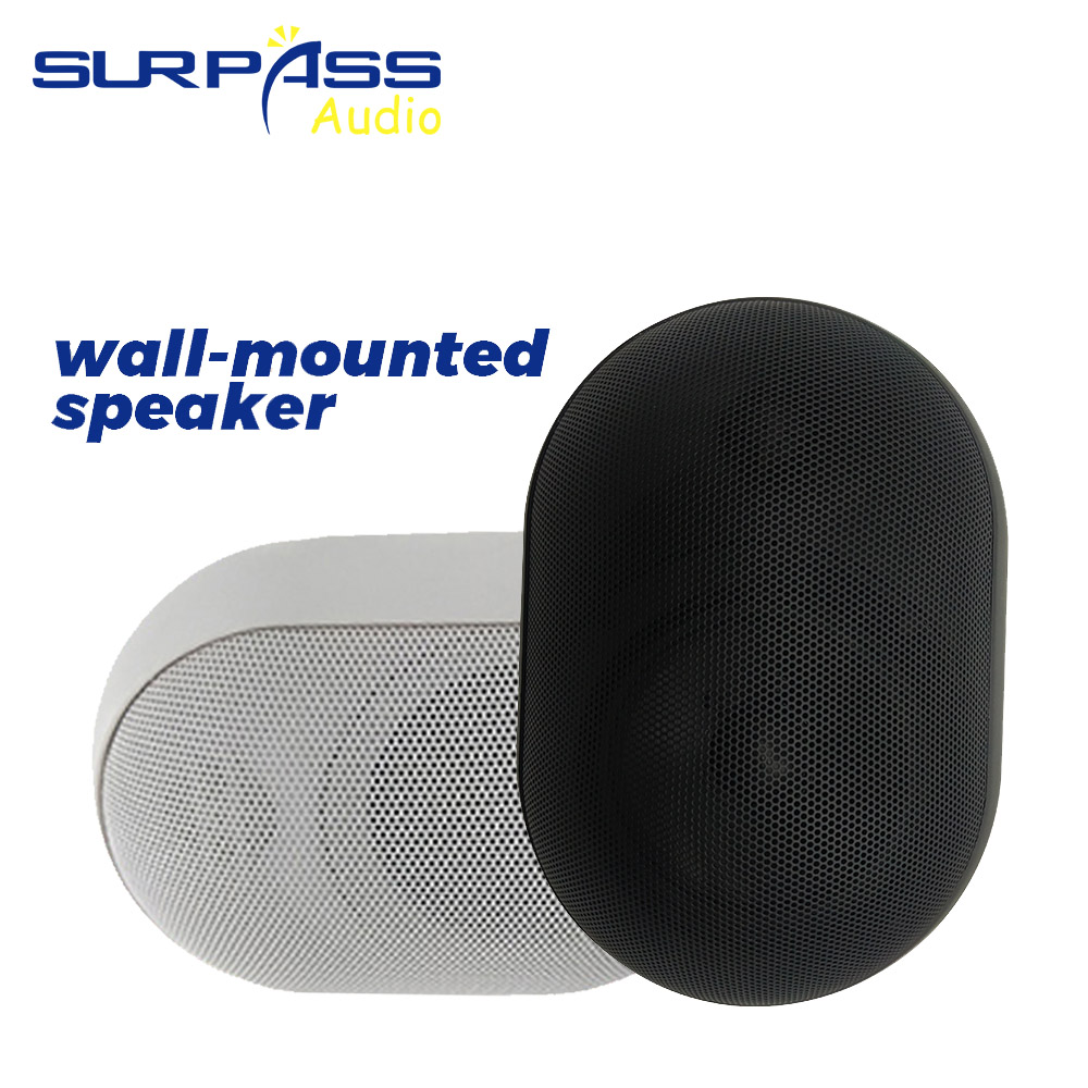 Wall Mount Speaker - Altavoz de pared de 30W, resistente