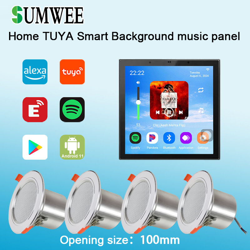 Amplificador de Pared con Alta - Home Cinema Bluetooth reseña y precio