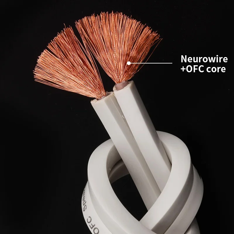 YYTCG DIY Cable de altavoz Cab - Home Cinema Ampli reseña y precio