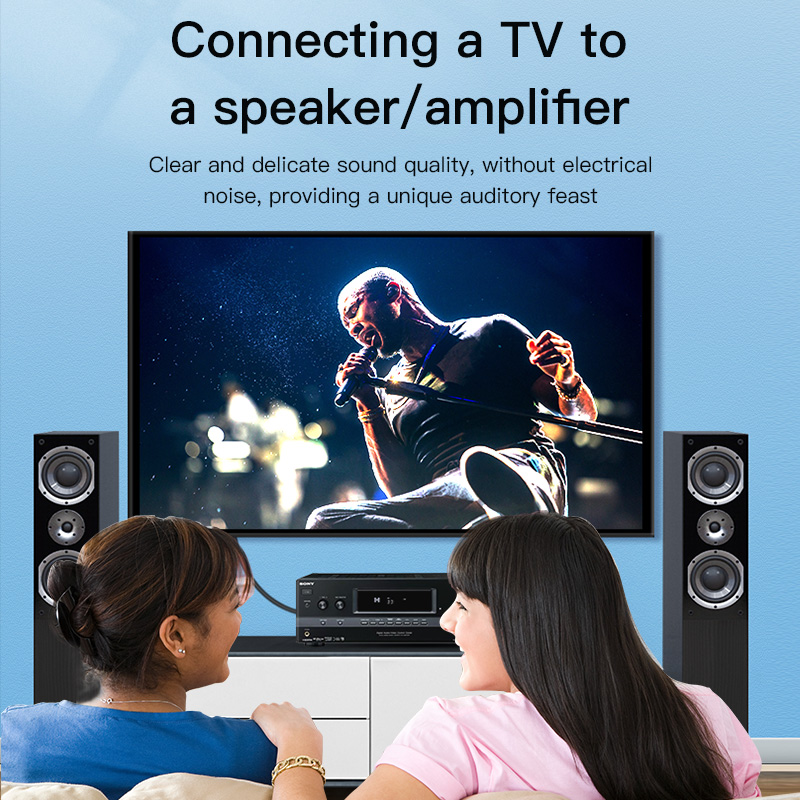 Cable RCA CHOSEAL, Cable de Au - Home Cinema Ampli reseña y precio